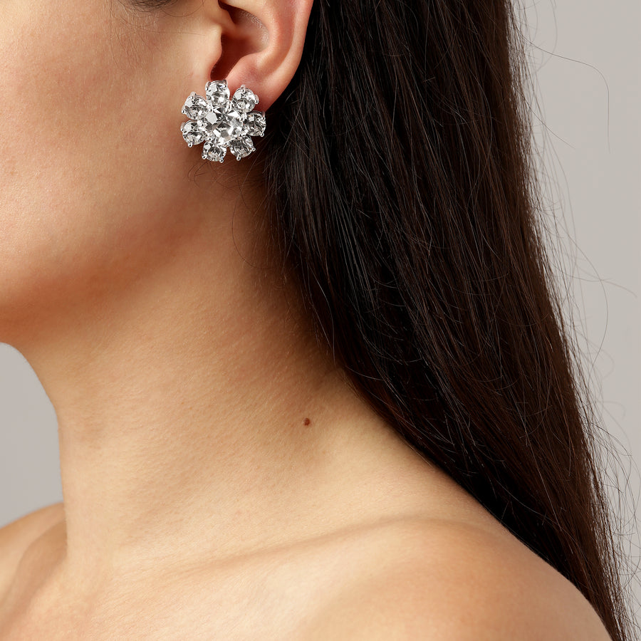 Aubra SS Crystal Earrings