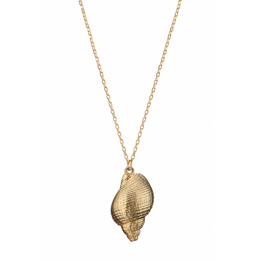 Large Conch Shell 9ct Gold Necklace